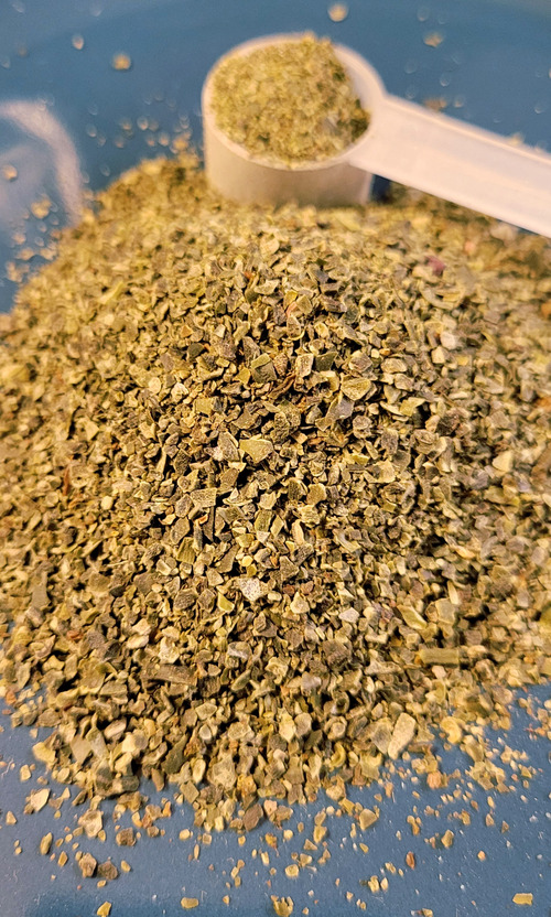 kelp-for-goats